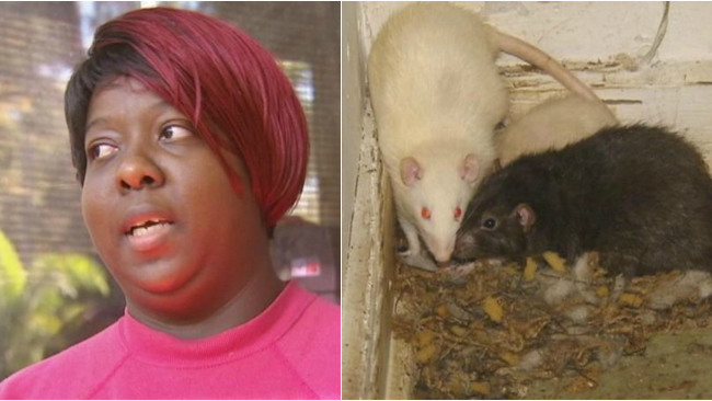 woman-rats-home