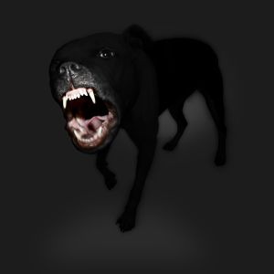 Vicious Black Dog
