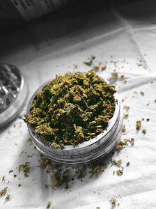 High Angle View Of Marijuana In Container On Table