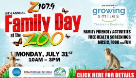 Family Day at the Zoo Rev DLs