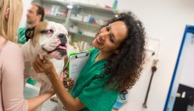 Happy Female Veterinarian Examining Bulldog