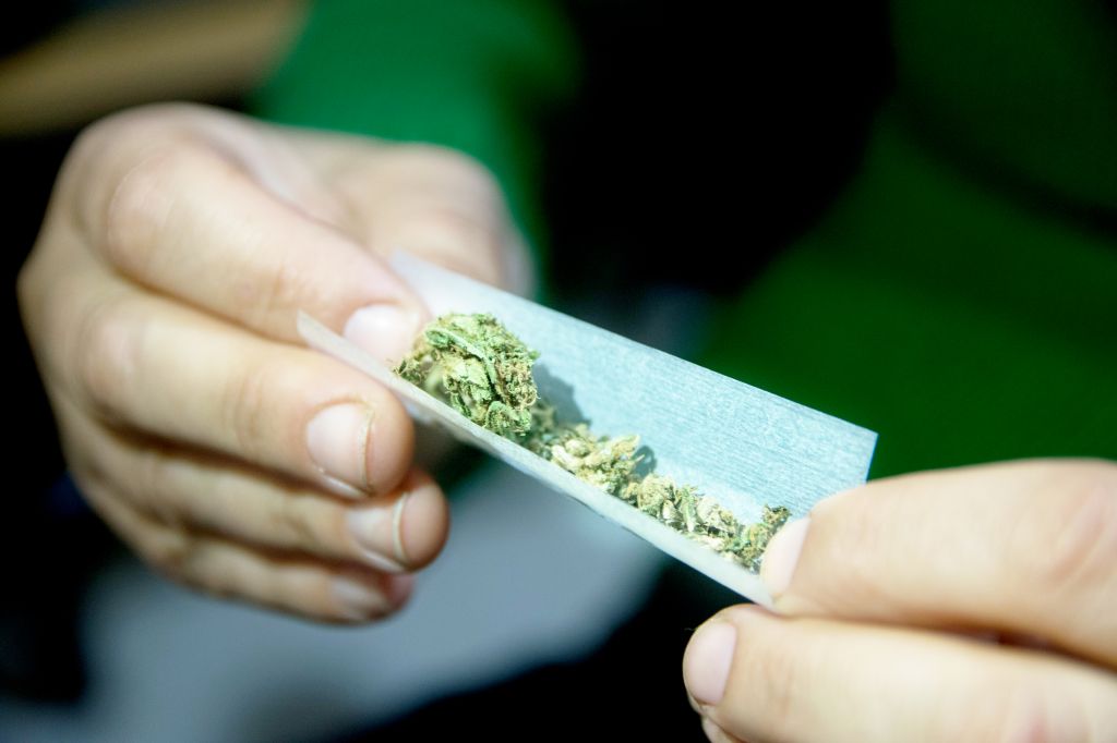 Female hands rolling a marijuana joint