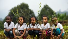 TOPSHOT-DOUNIAMAG-ETHIOPIA-CLIMATE-TREES
