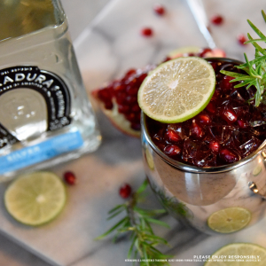 Tequila Herradura Pomegranate Mule