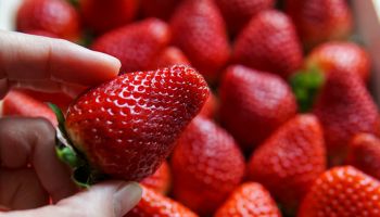 Close-Up Of Hand Holding Strawberries