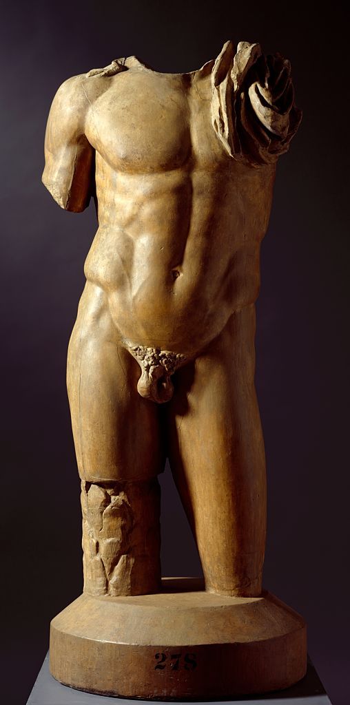 Cast Of Male Torso